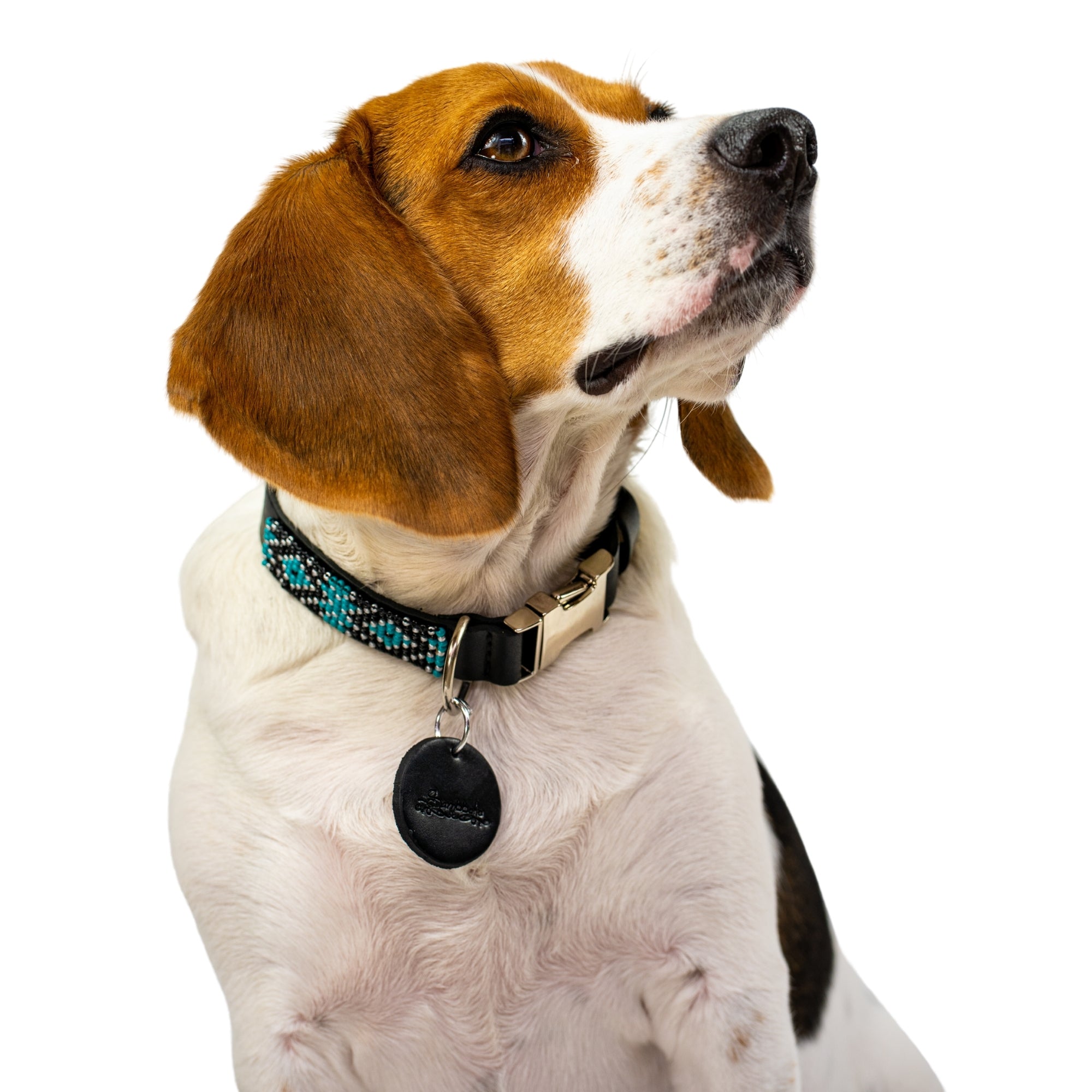 Saint Barth dog collar (quick release) by Sambboho