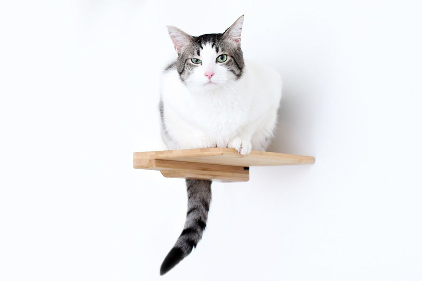 Cat Climbing Shelf by Catastrophic Creations