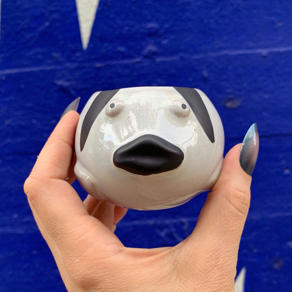 Striped Fish Mini Plant Pot | Succulent Planter | 2.2" Tall by The Bullish Store