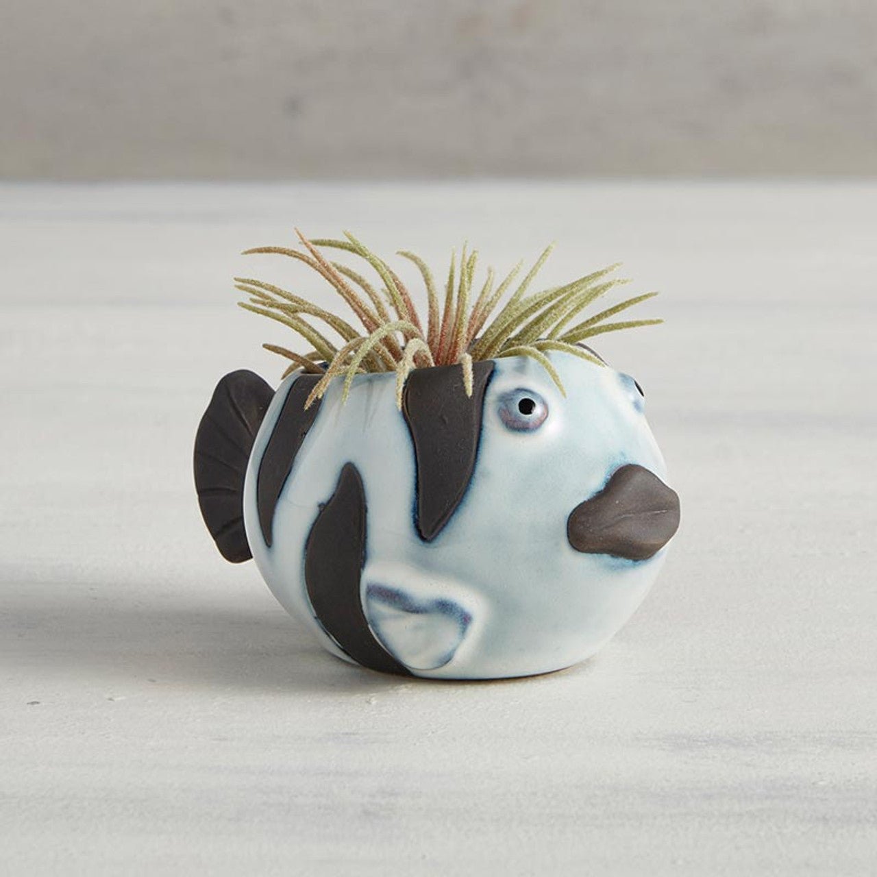 Striped Fish Mini Plant Pot | Succulent Planter | 2.2" Tall by The Bullish Store