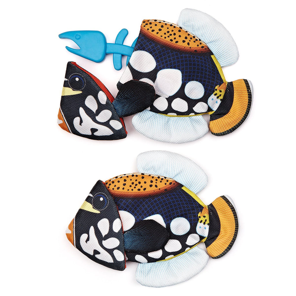 Tropical Crinkle + Bone Emperor Angelfish by Dogline