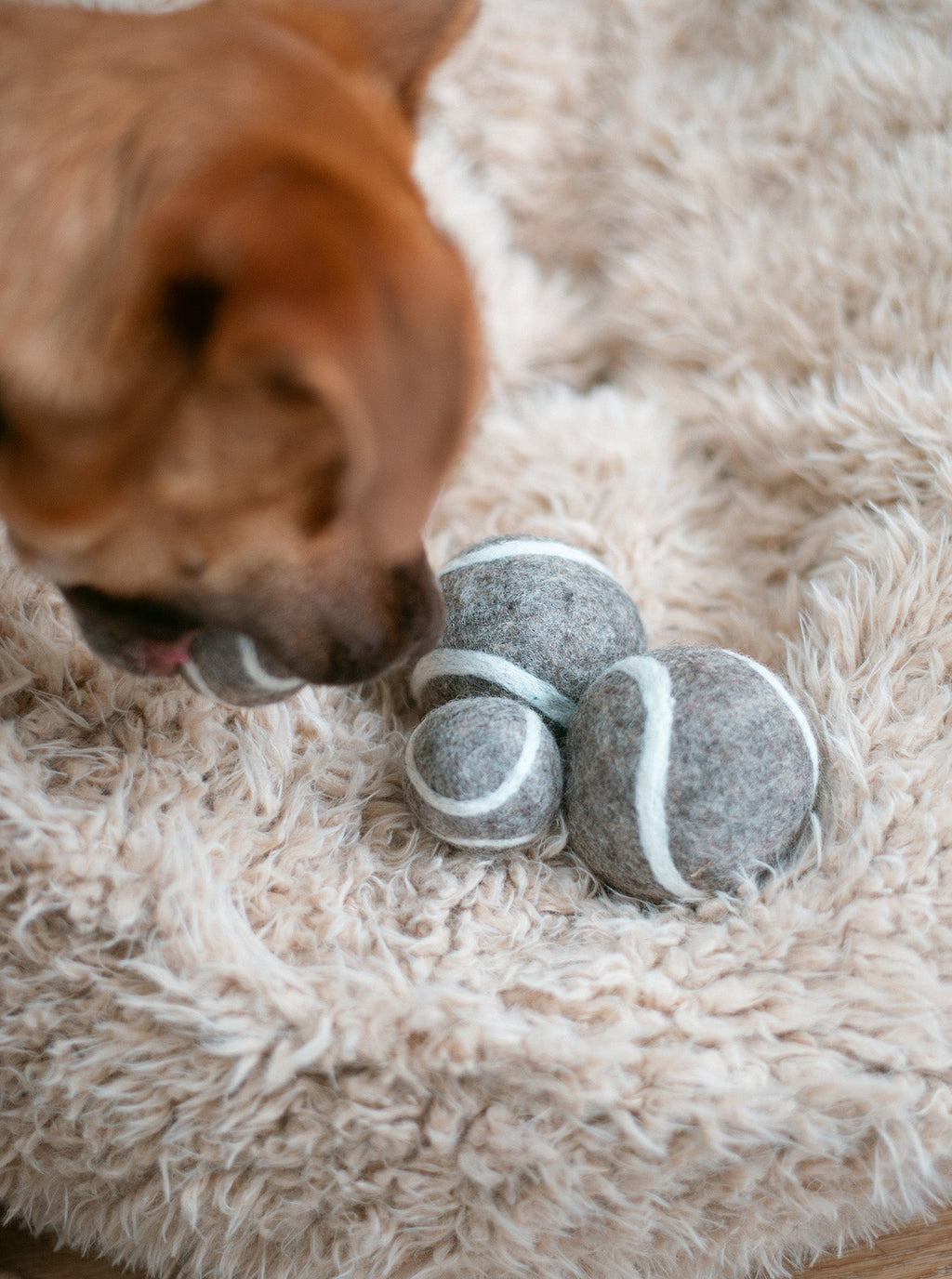WOOL TENNIS BALL by MODERNBEAST