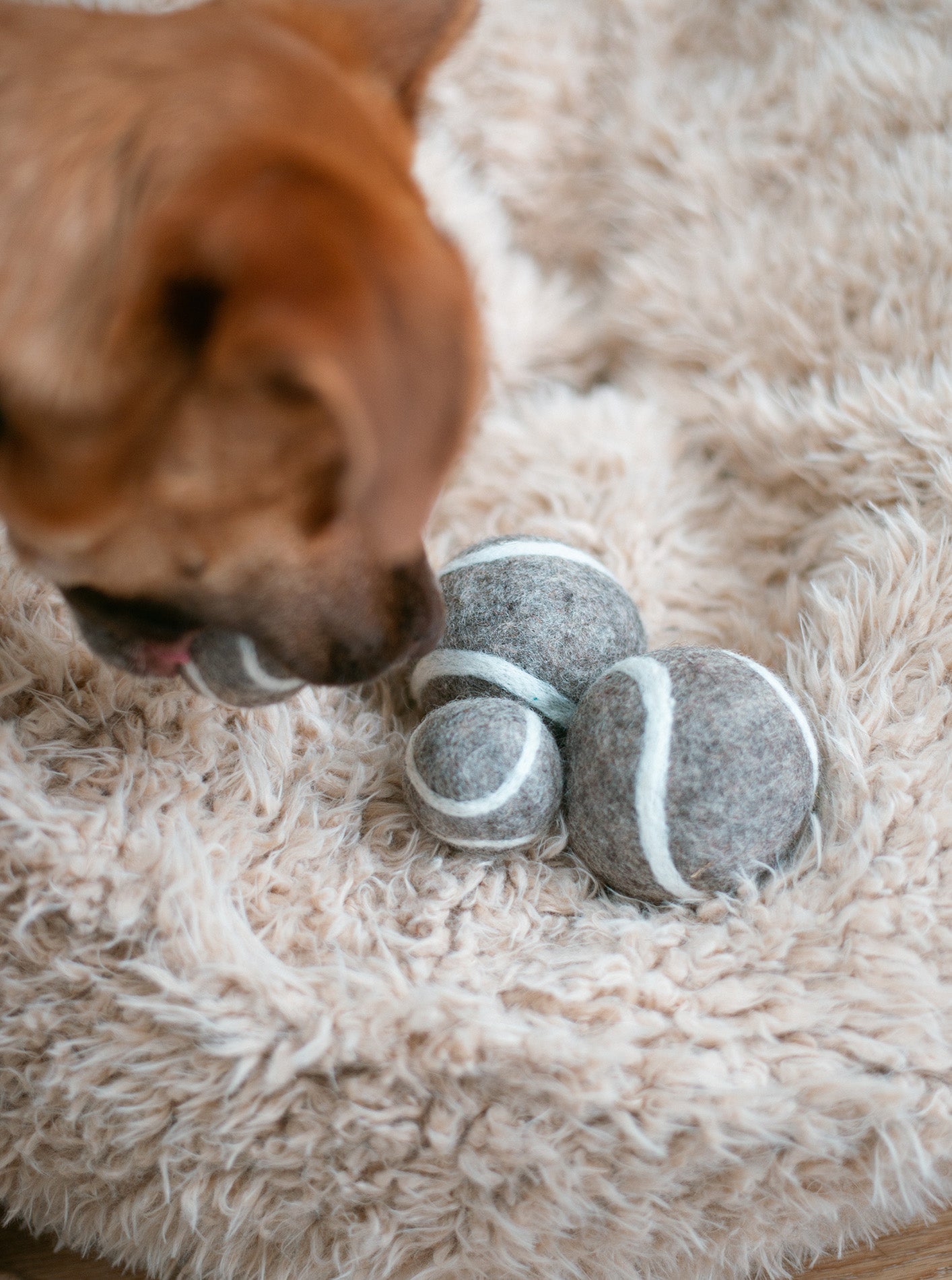 WOOL TENNIS BALL by MODERNBEAST