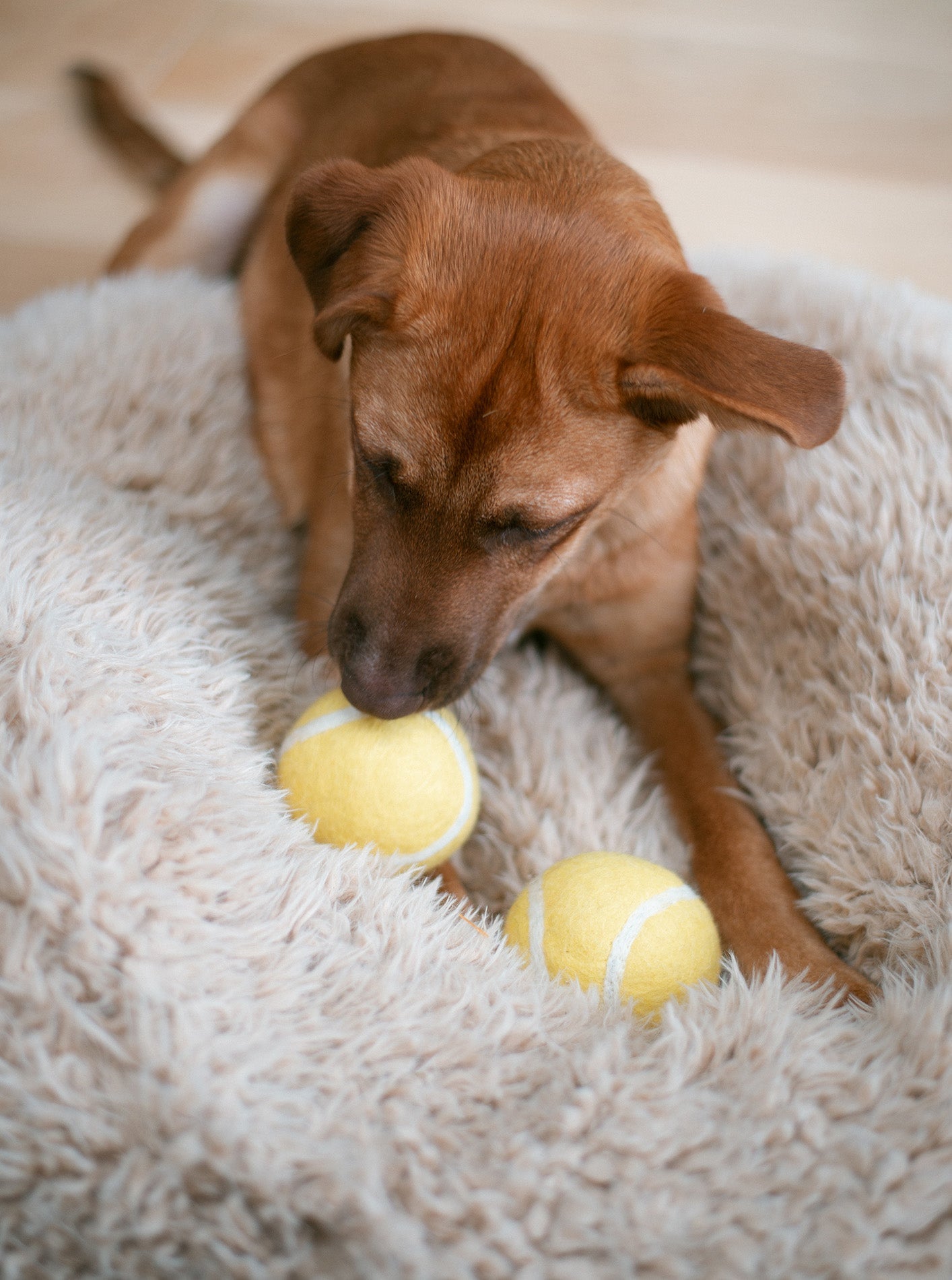 WOOL TENNIS BALL by MODERNBEAST