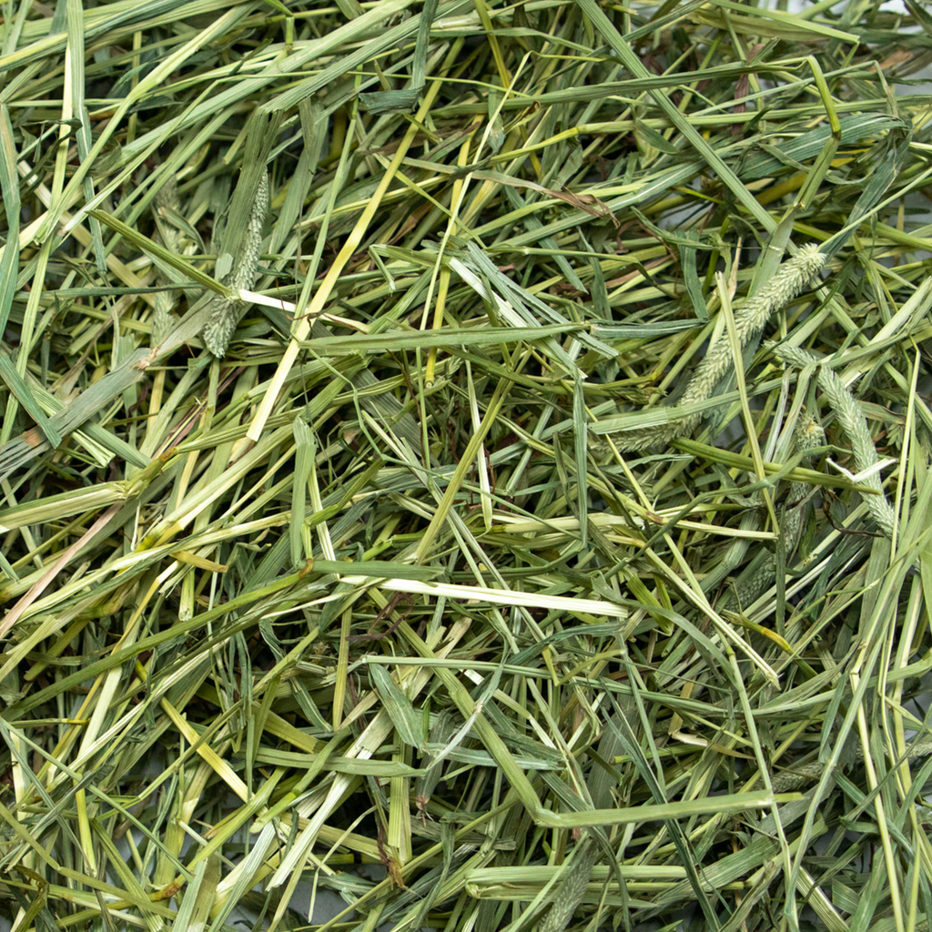 Rabbit Hole Hay Ultra Premium Coarse Timothy Hay by Rabbit Hole Hay