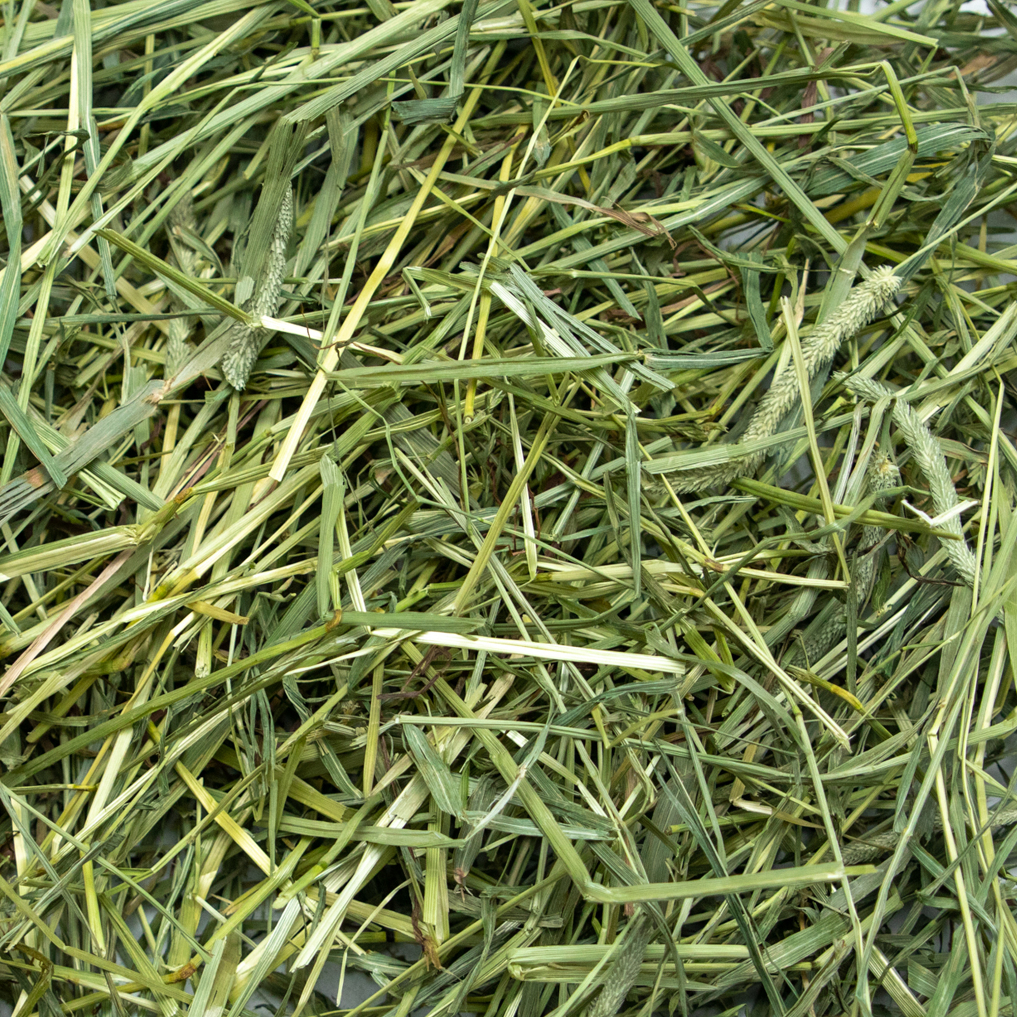 Rabbit Hole Hay Ultra Premium Coarse Timothy Hay by Rabbit Hole Hay
