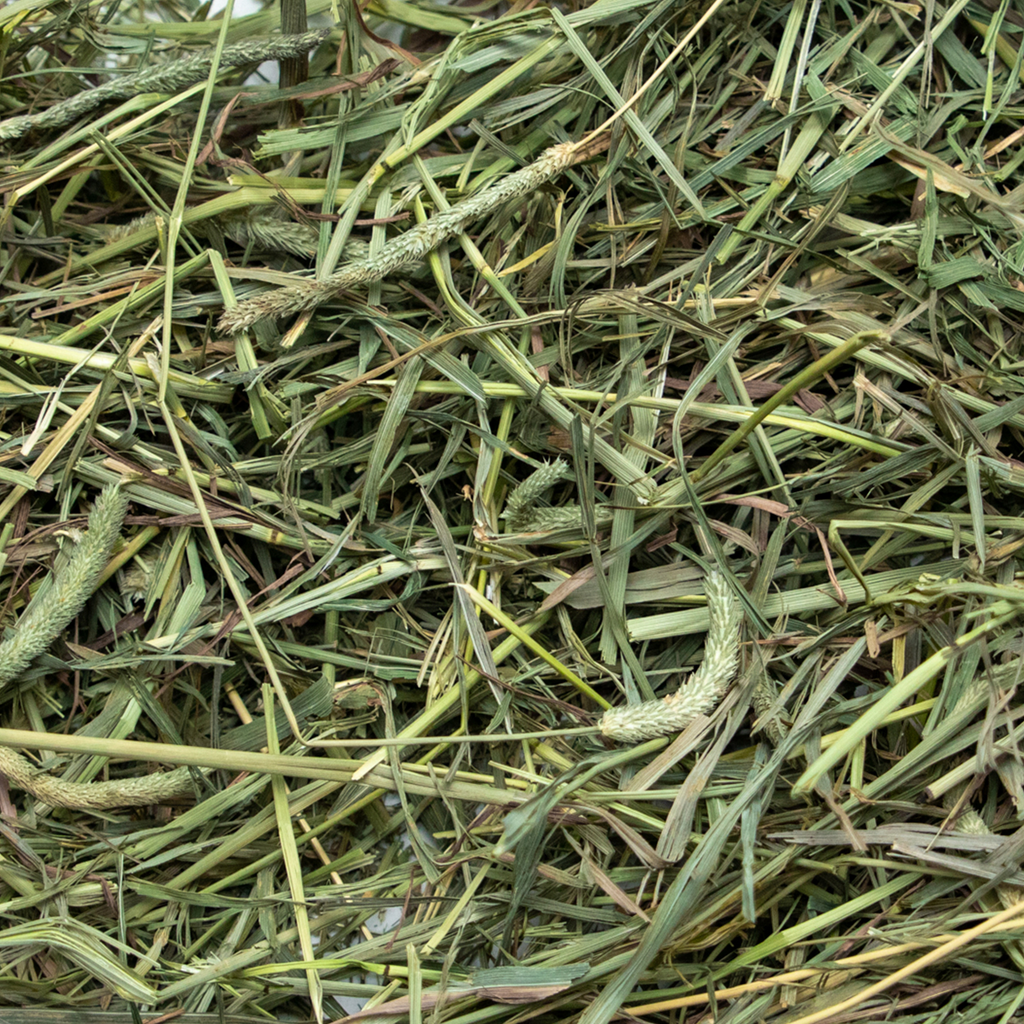 Rabbit Hole Hay Ultra Premium Medium Timothy Hay by Rabbit Hole Hay