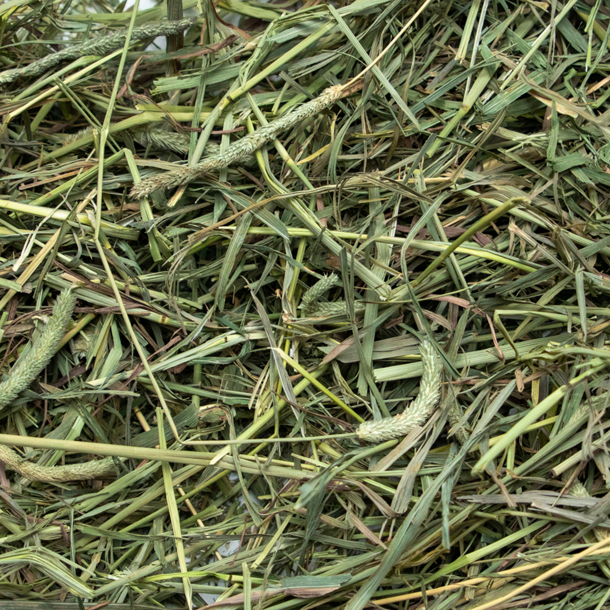Rabbit Hole Hay Ultra Premium Medium Timothy Hay by Rabbit Hole Hay