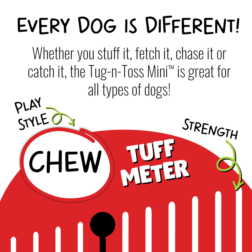 Tug-n-Toss Mini by Jolly Pets
