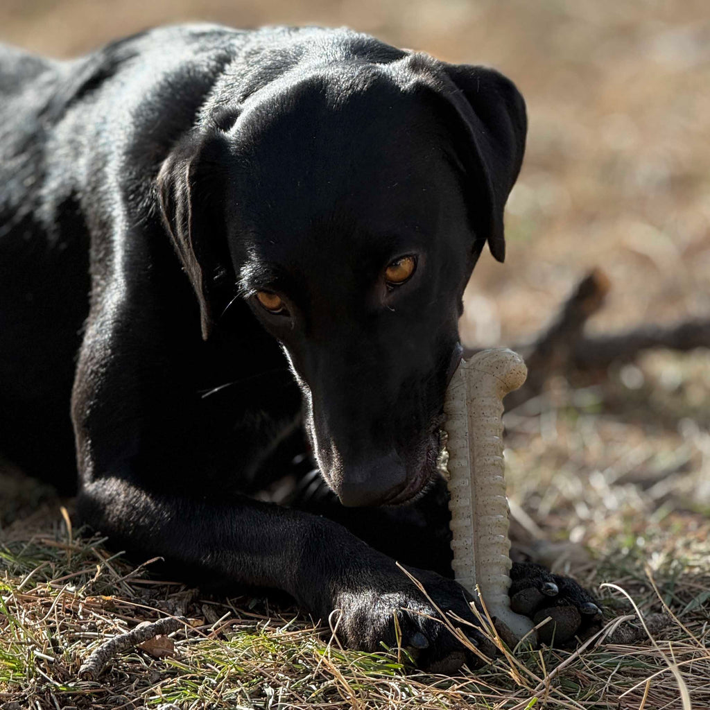 Tough Bone Nylon Chew Bone | Ultra-Durable Dog Toy for Aggressive Chewers | SodaPup by SodaPup/True Dogs, LLC