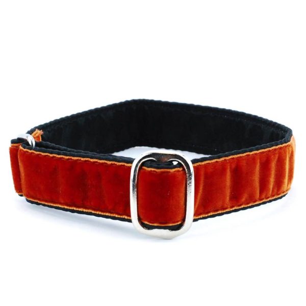 1″ Velvet Jingle Free Tag Dog Collar by 2 Hounds Design