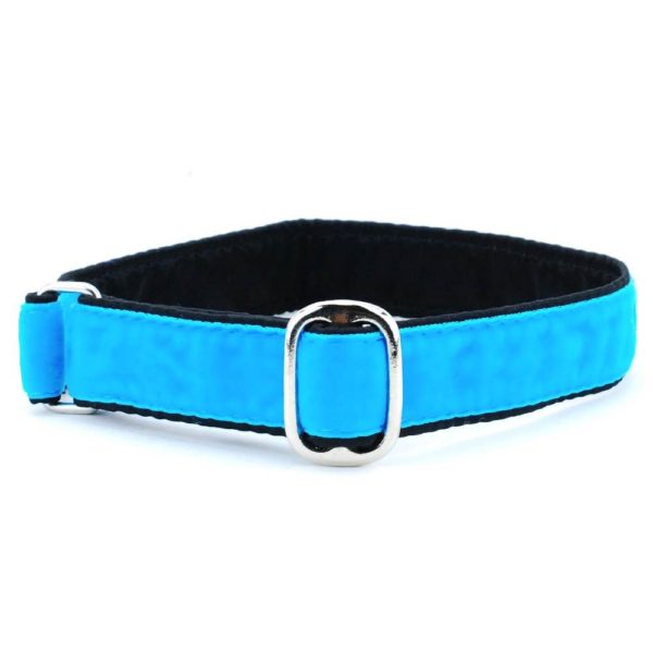 1″ Velvet Jingle Free Tag Dog Collar by 2 Hounds Design