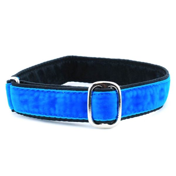 1″ Velvet Jingle Free Tag Dog Collar by 2 Hounds Design