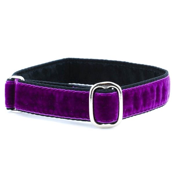 1″ Velvet Jingle Free Tag Dog Collar by 2 Hounds Design