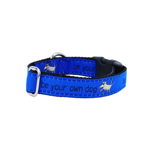 1″ Be Your Own Dog Teddy The Dog – Blue Essential Martingale Dog Collar by 2 Hounds Design