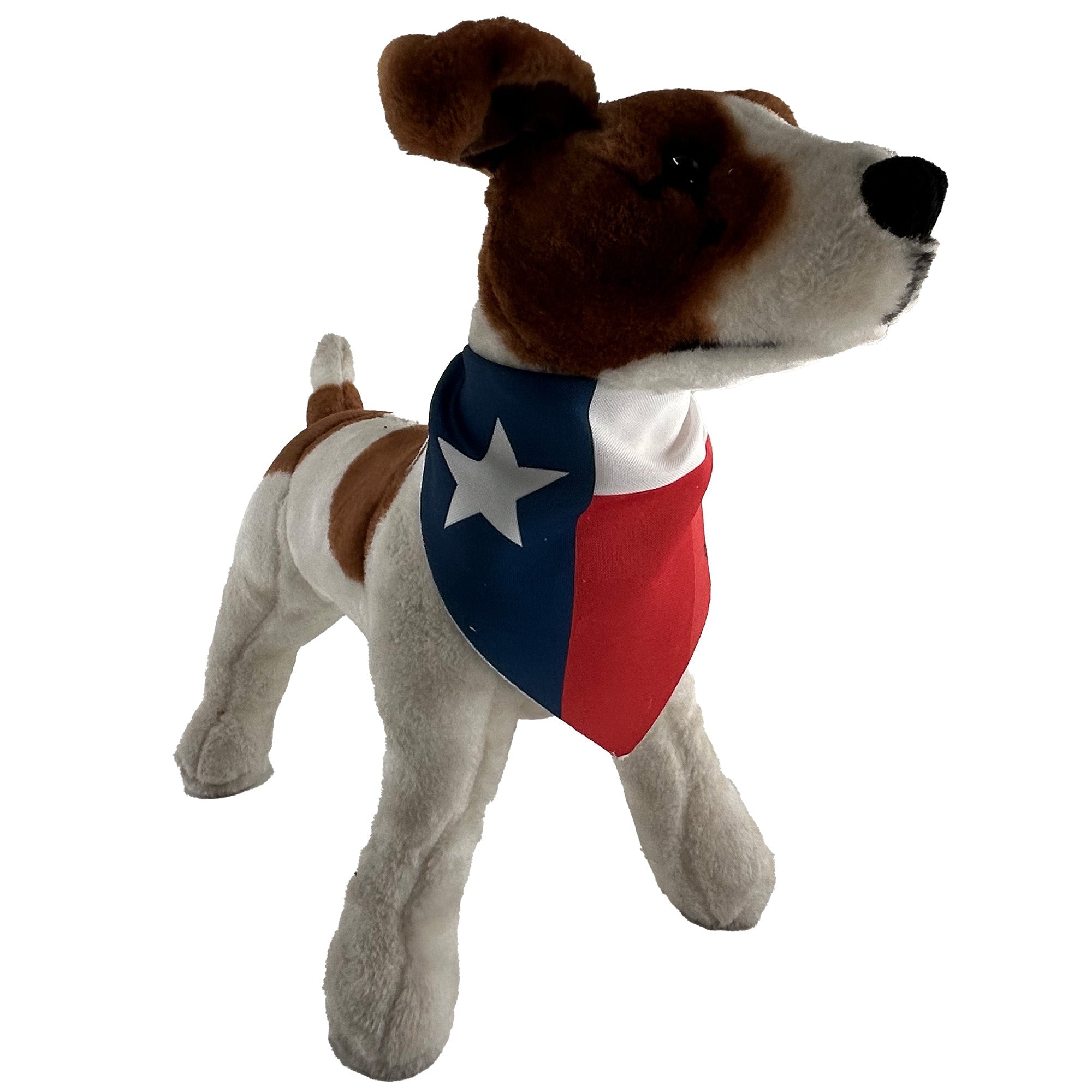 Bandanas - Tie On by American Dog