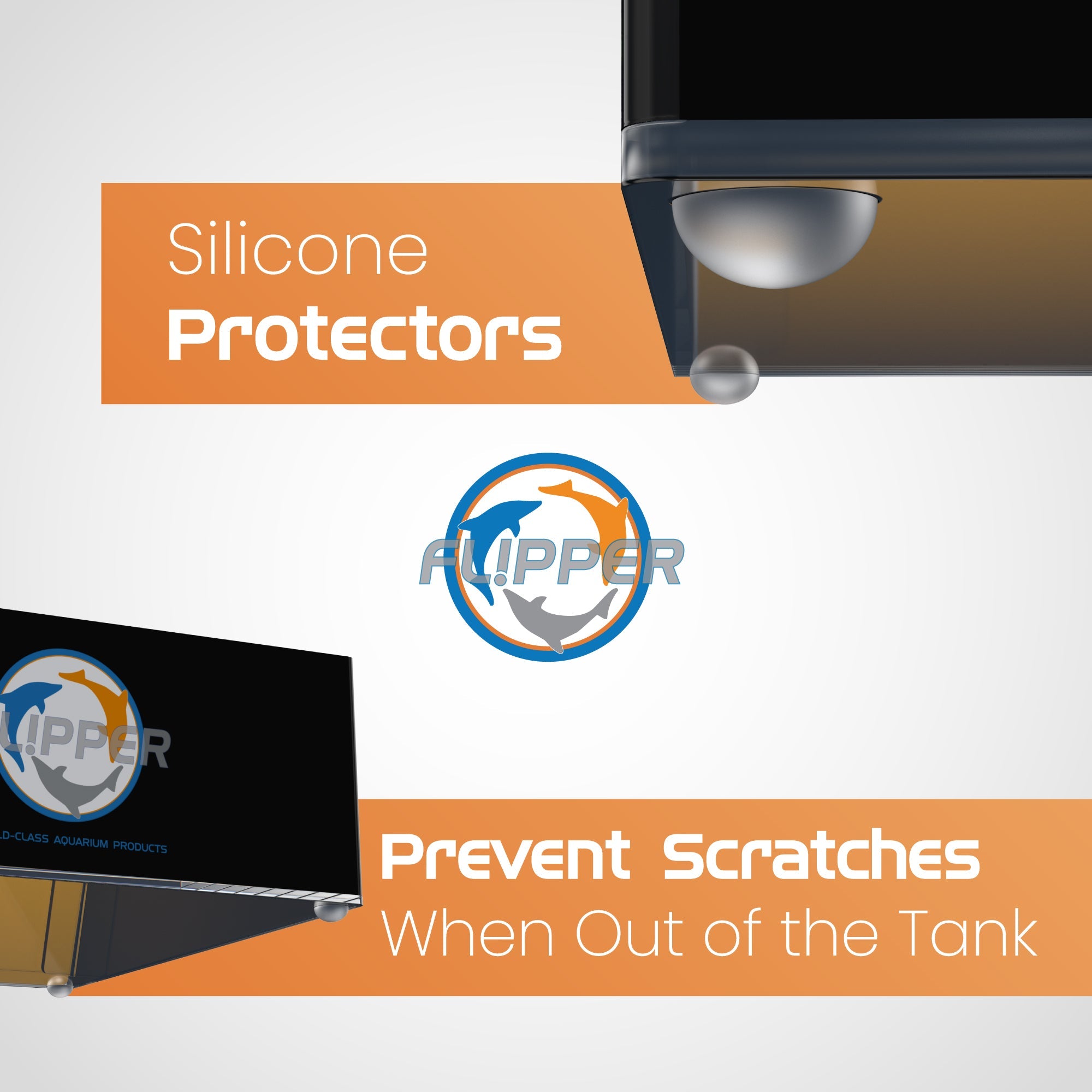 Top Down Viewer Clownfish - 8" panel