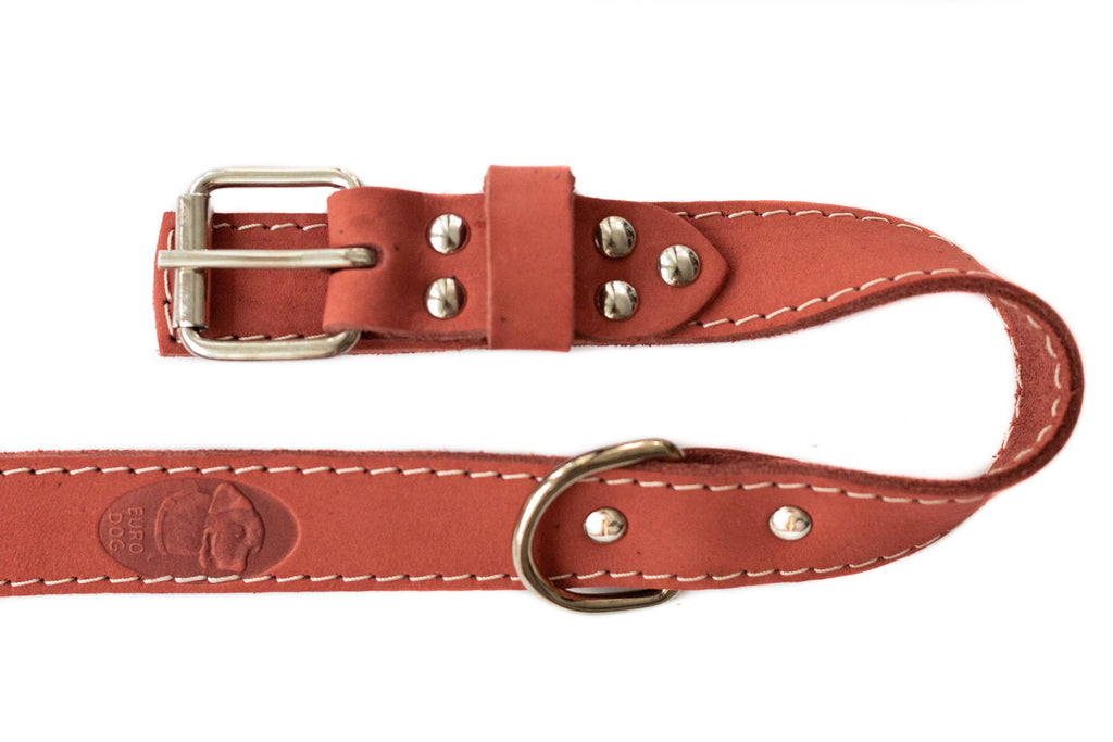 Pro Line Hunting Leather Collar and Leash Set by Euro-Dog Collars and Leads