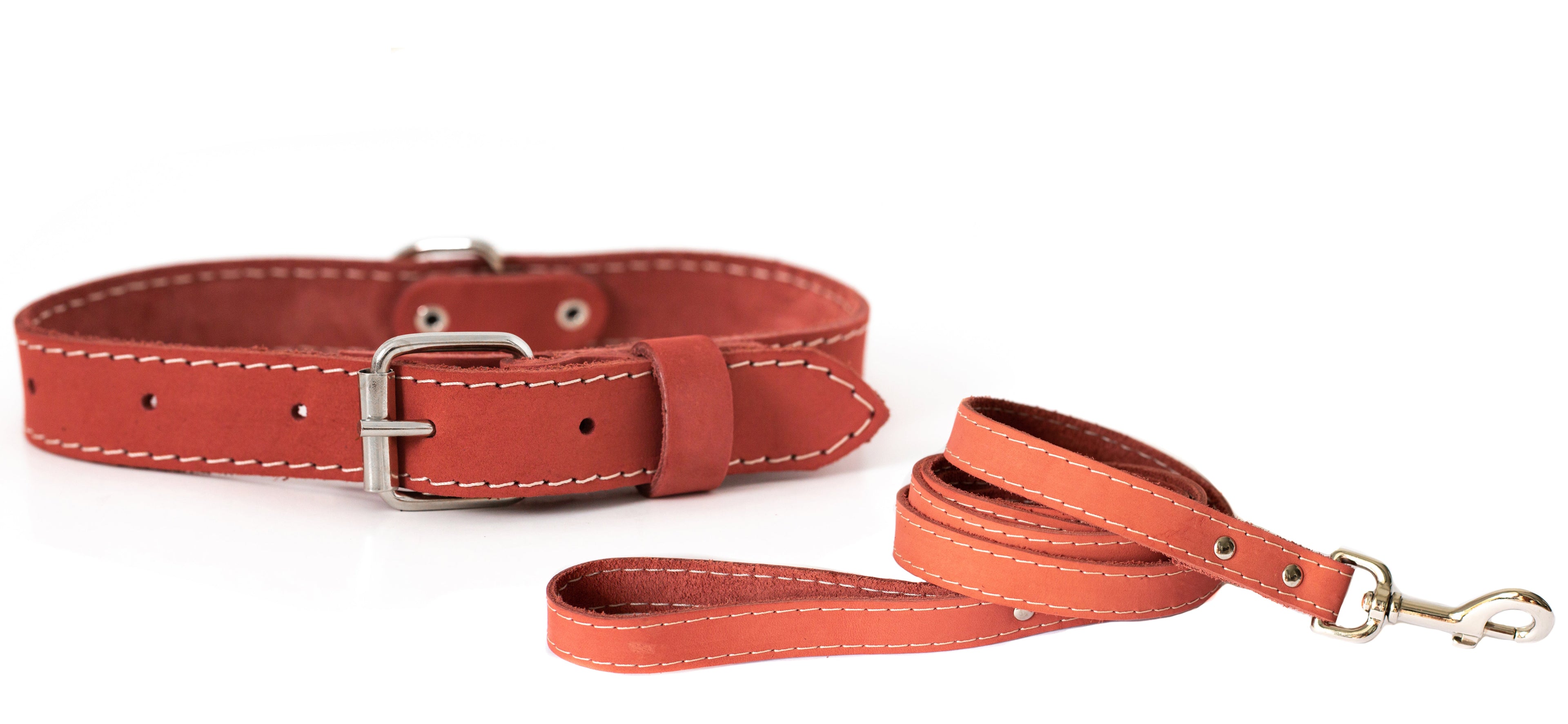 Pro Line Hunting Leather Collar and Leash Set by Euro-Dog Collars and Leads