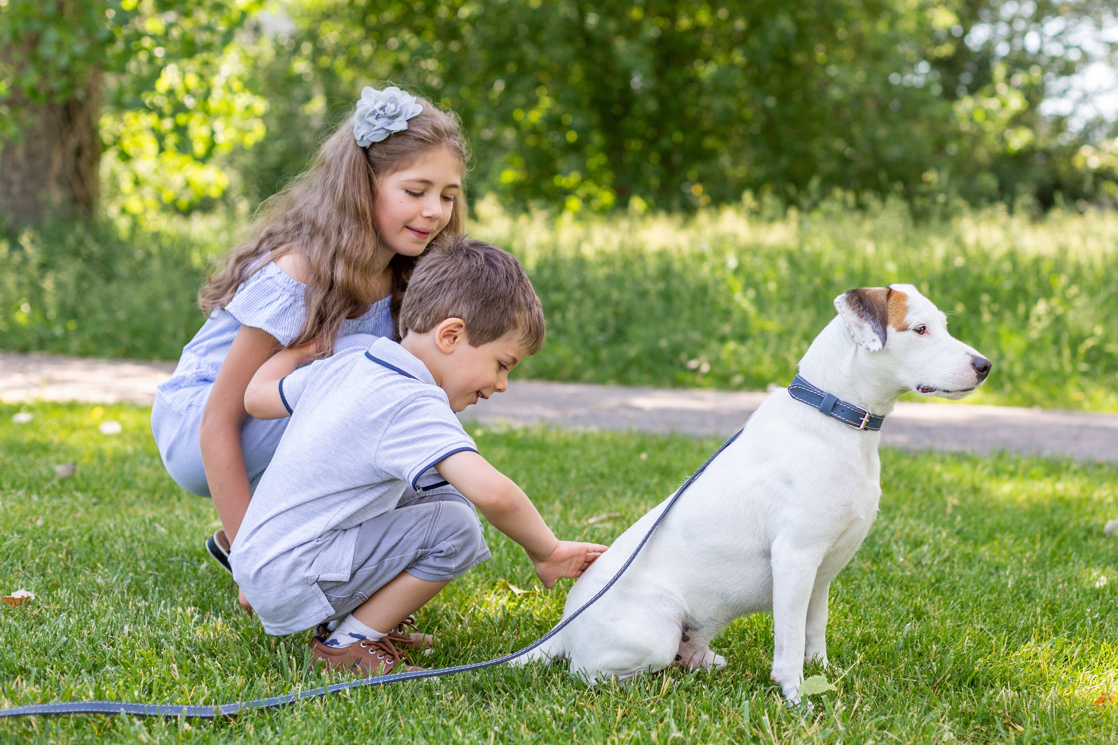 Pro Line Hunting Leather Collar and Leash Set by Euro-Dog Collars and Leads