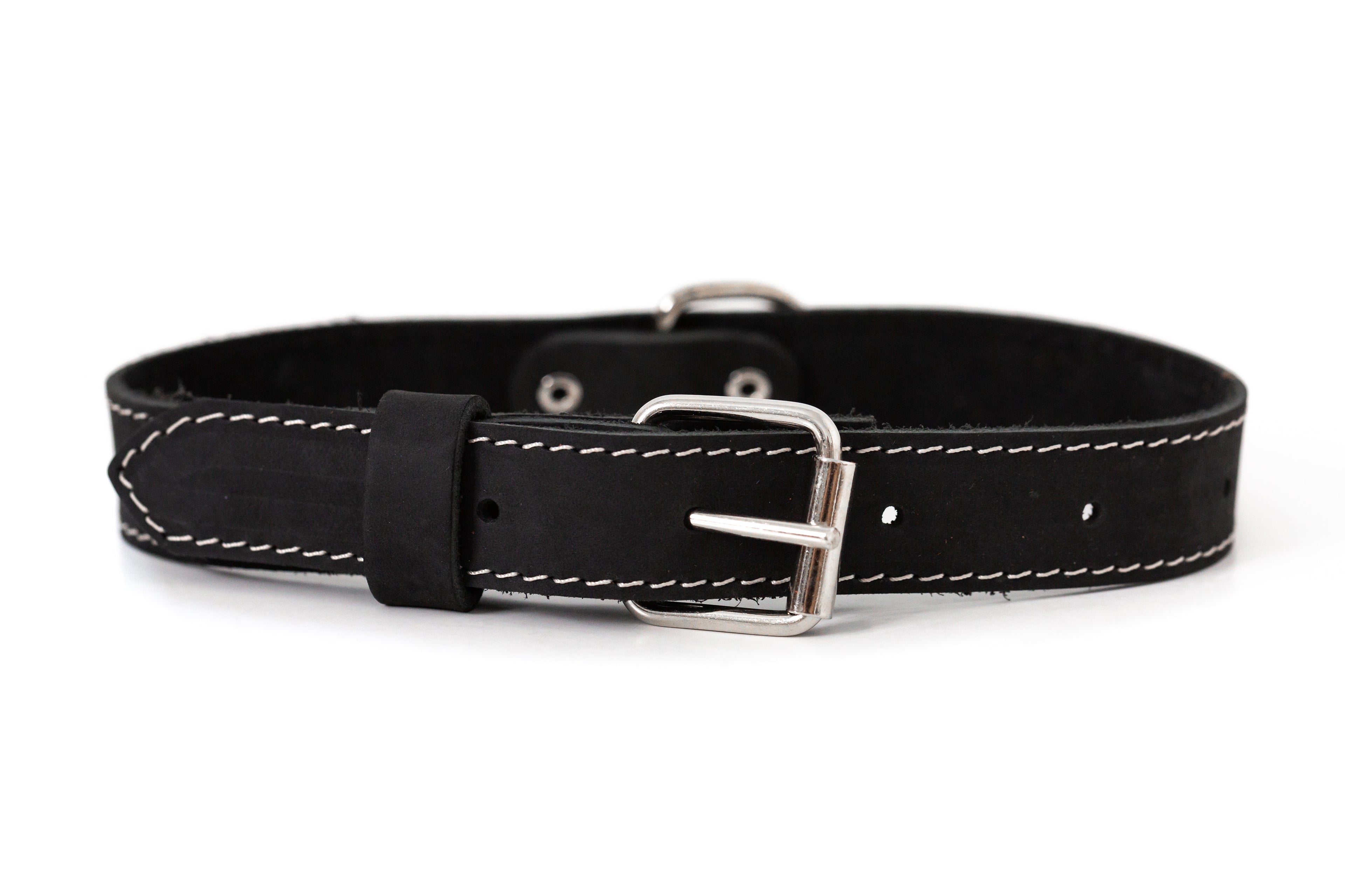 Traditional Black Leather Dog Collar by Euro-Dog Collars and Leads