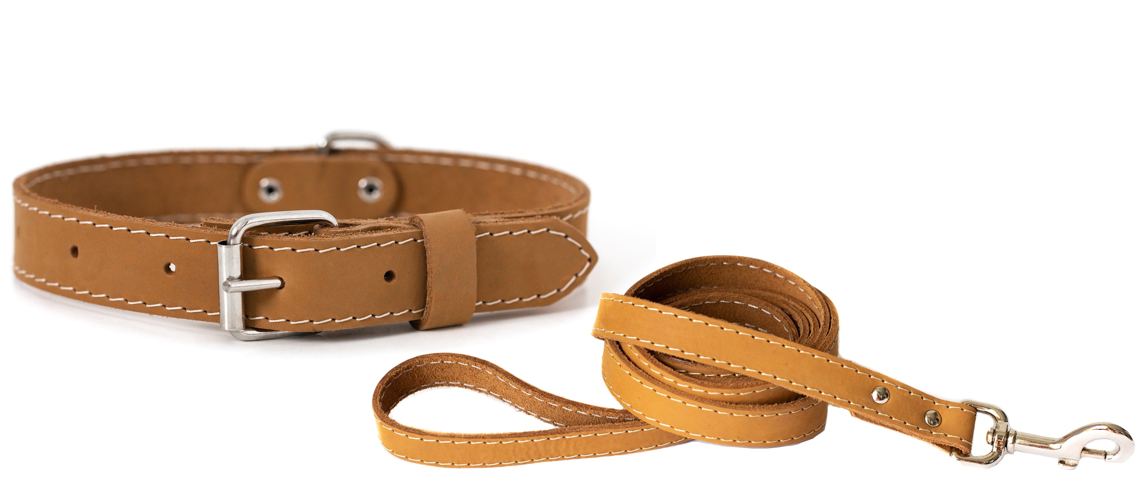 Pro Line Hunting Leather Collar and Leash Set by Euro-Dog Collars and Leads