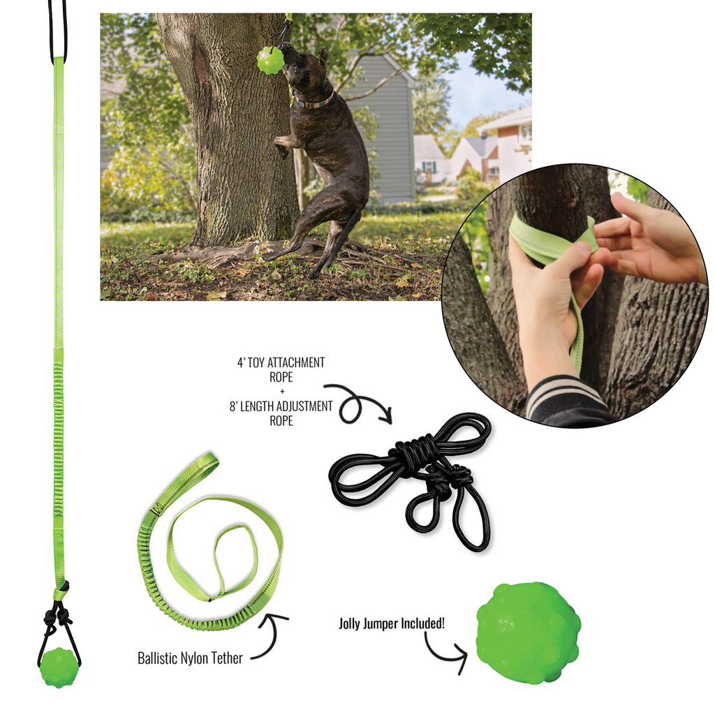 Tree Tugger by Jolly Pets
