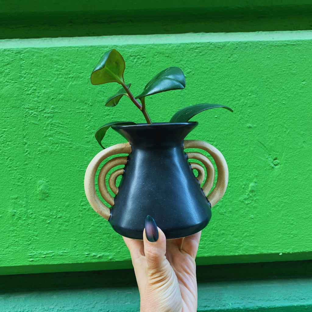 Triomphe Handle Vase | Minimalist Black and Gold | 4.5" Tall by The Bullish Store