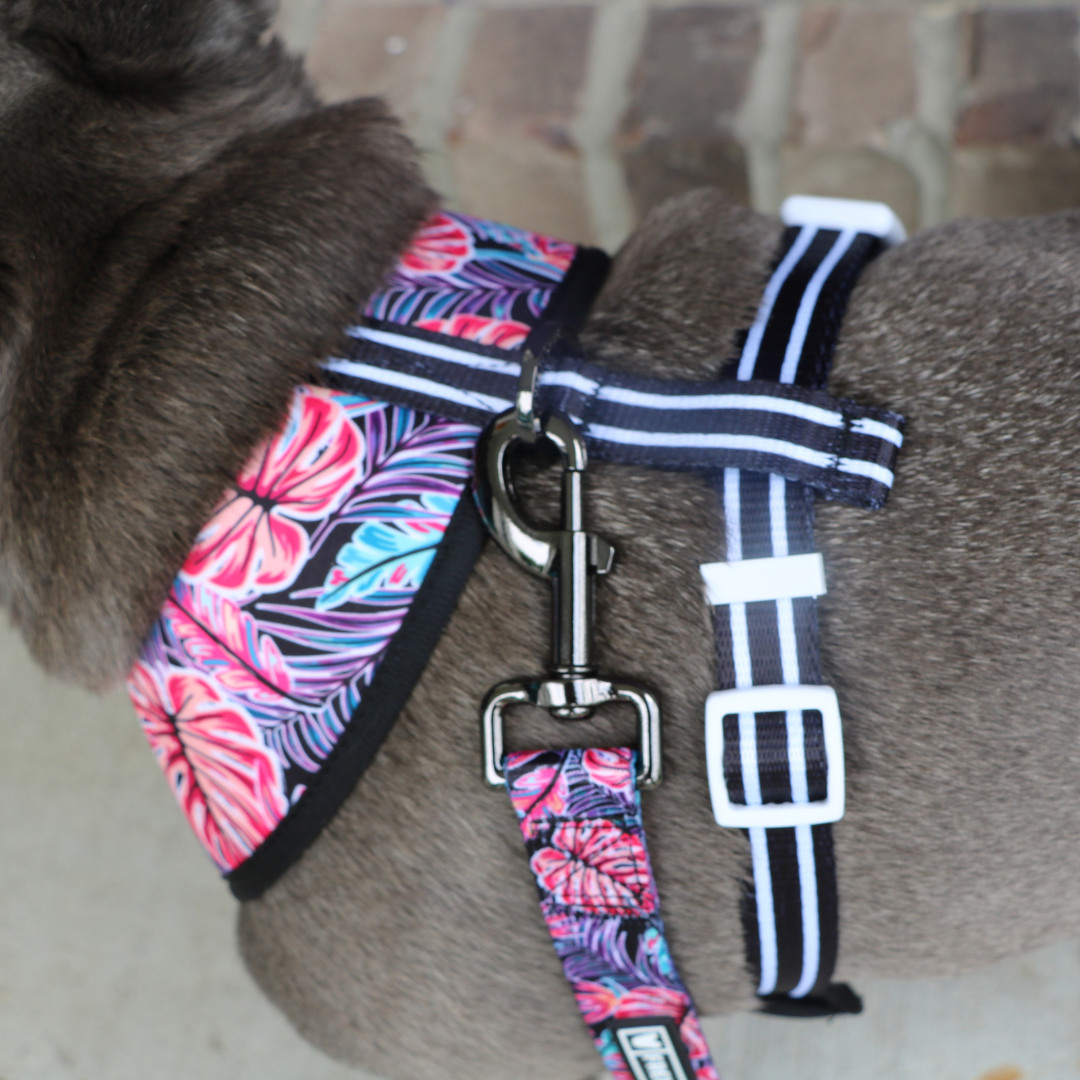 Frenchie Duo Reversible Harness - Tropical Palms by Frenchie Bulldog