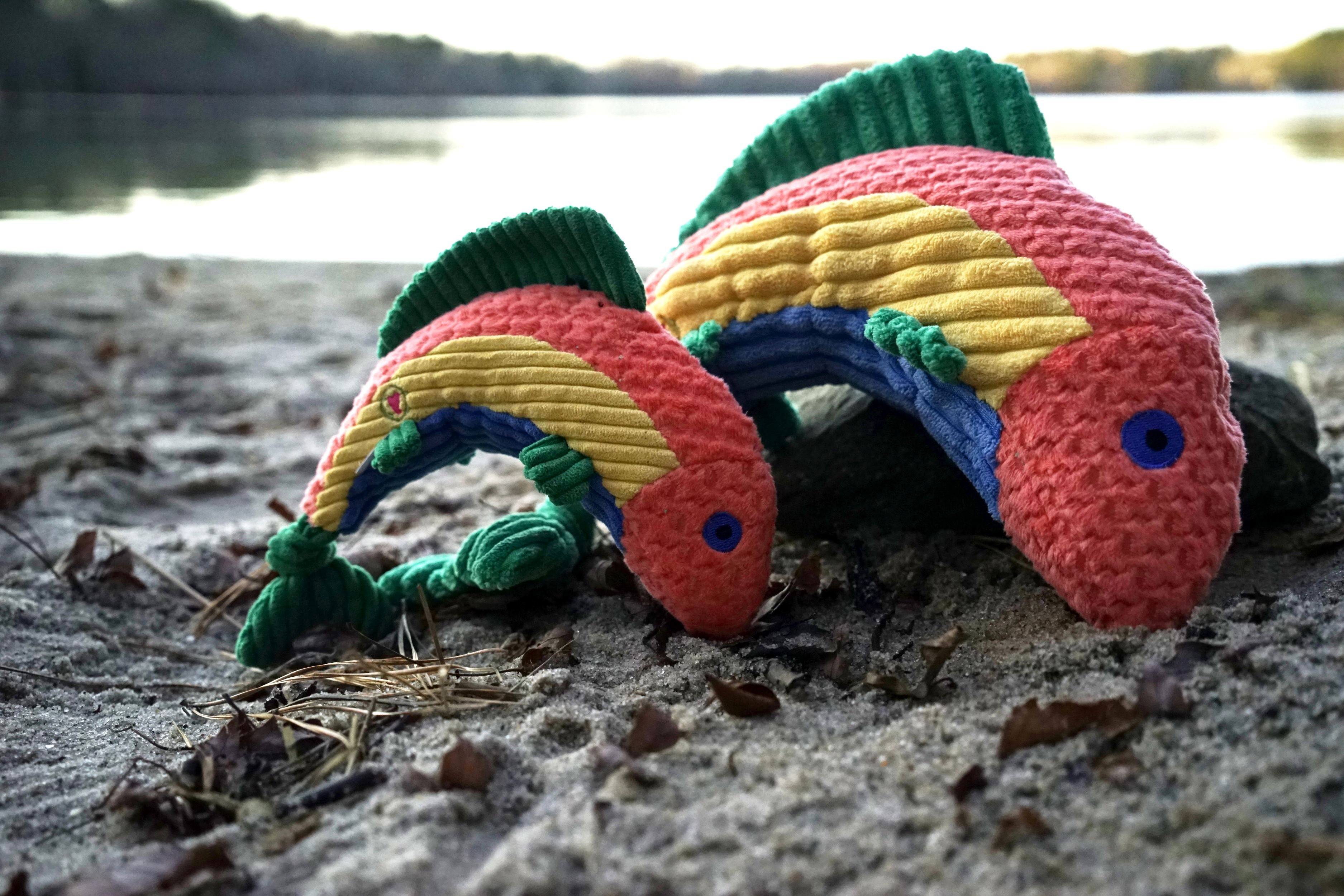 Rauccous Rainbow Trout Knottie® Plush Dog Toy by HuggleHounds