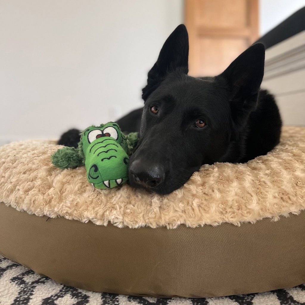 Dog Bed - Round Furvana™ by American Dog