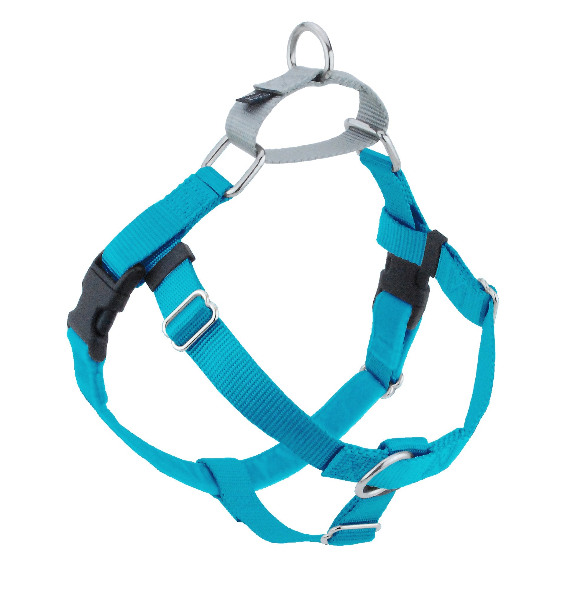 Turquoise Freedom No-Pull Dog Harness by 2 Hounds Design