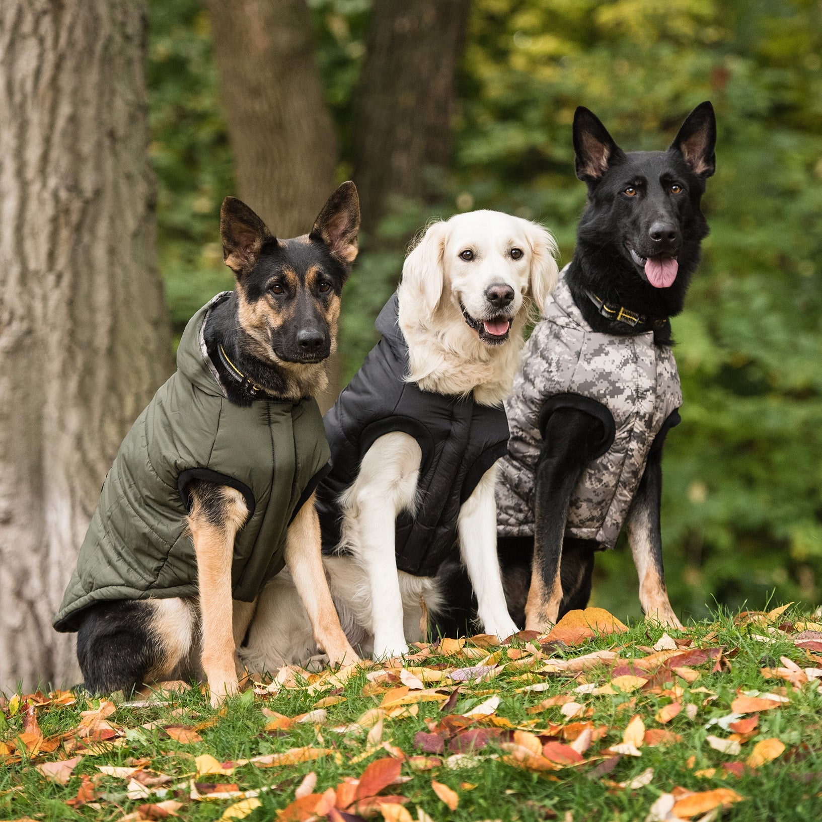 US Army Dog Parka - Dark Camo by GF Pet.us