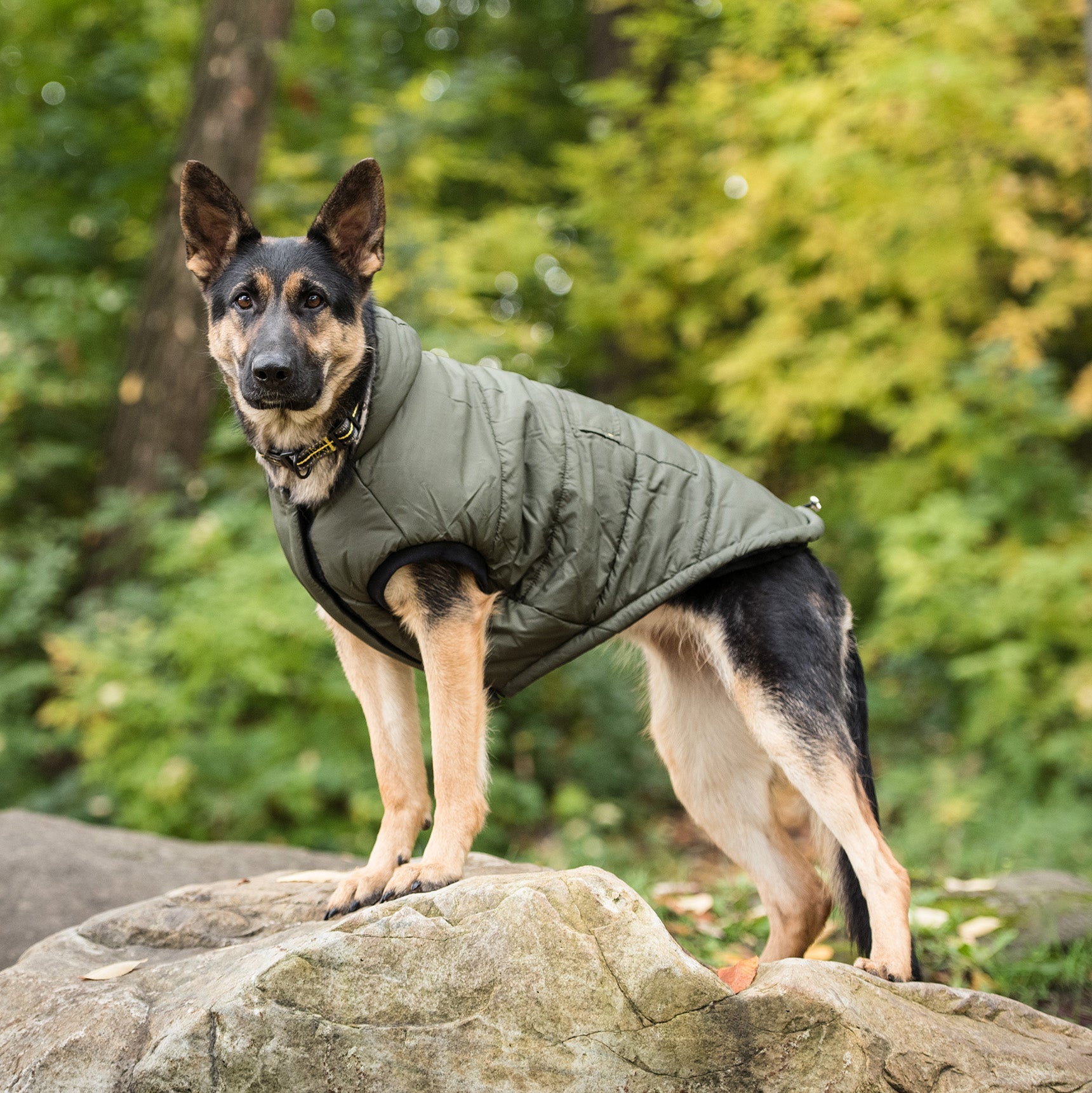 US Army Dog Parka - Dark Camo by GF Pet.us