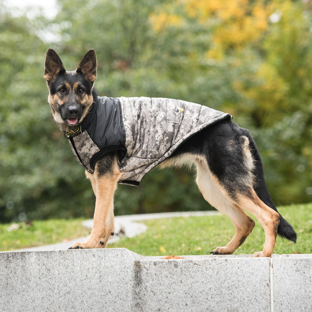 US Army Dog Jacket - Camo by GF Pet.us