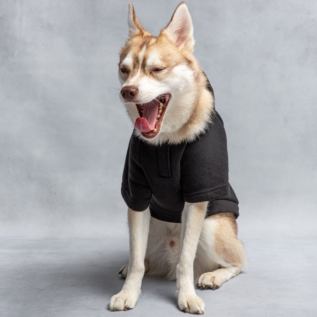 US Army Hooded Dog Fleece - Black by GF Pet.us