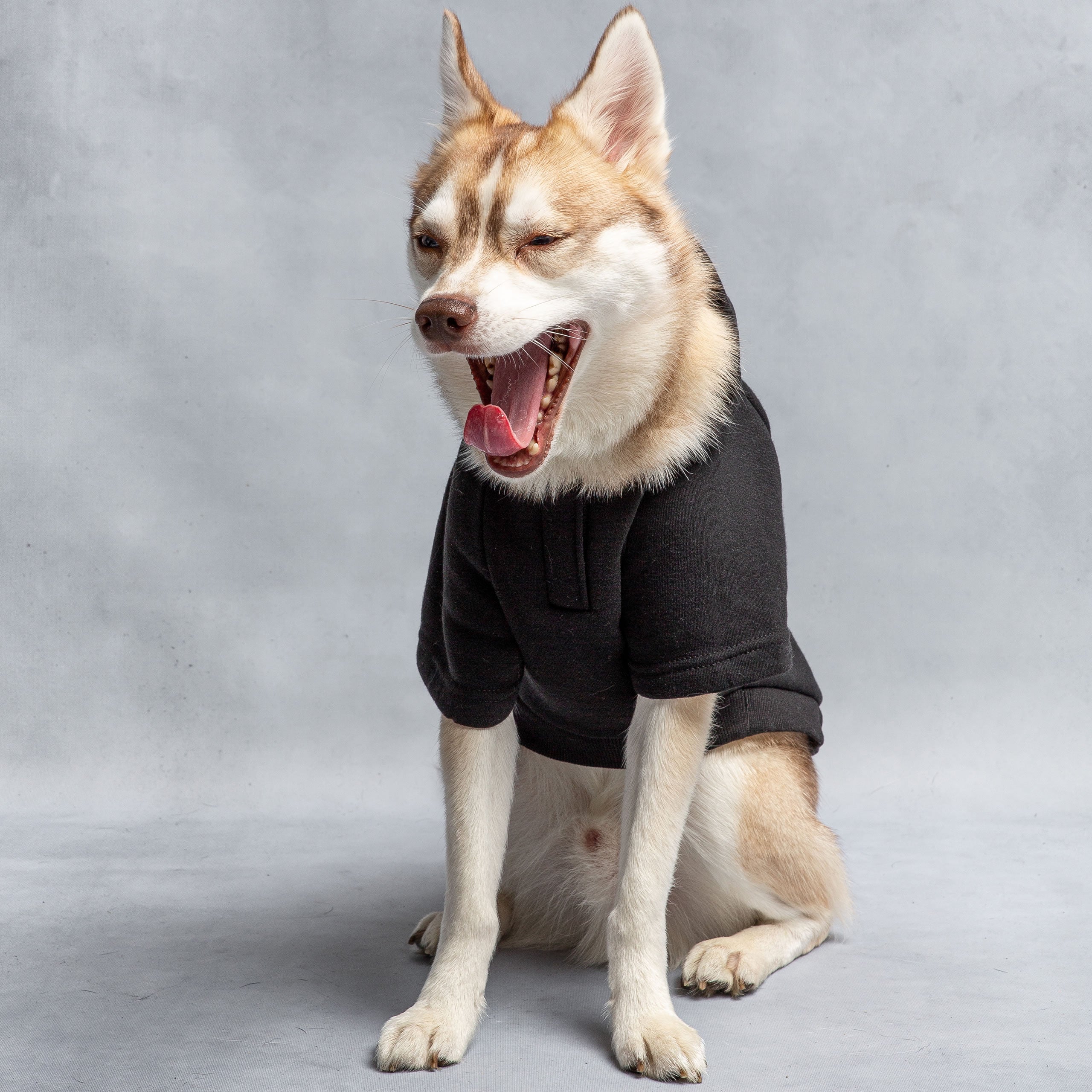 US Army Hooded Dog Fleece - Black by GF Pet.us
