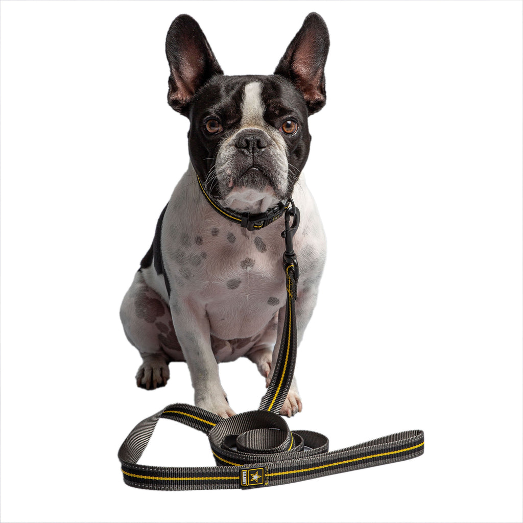 US Army Dog Leash - Dark Camo by GF Pet.us