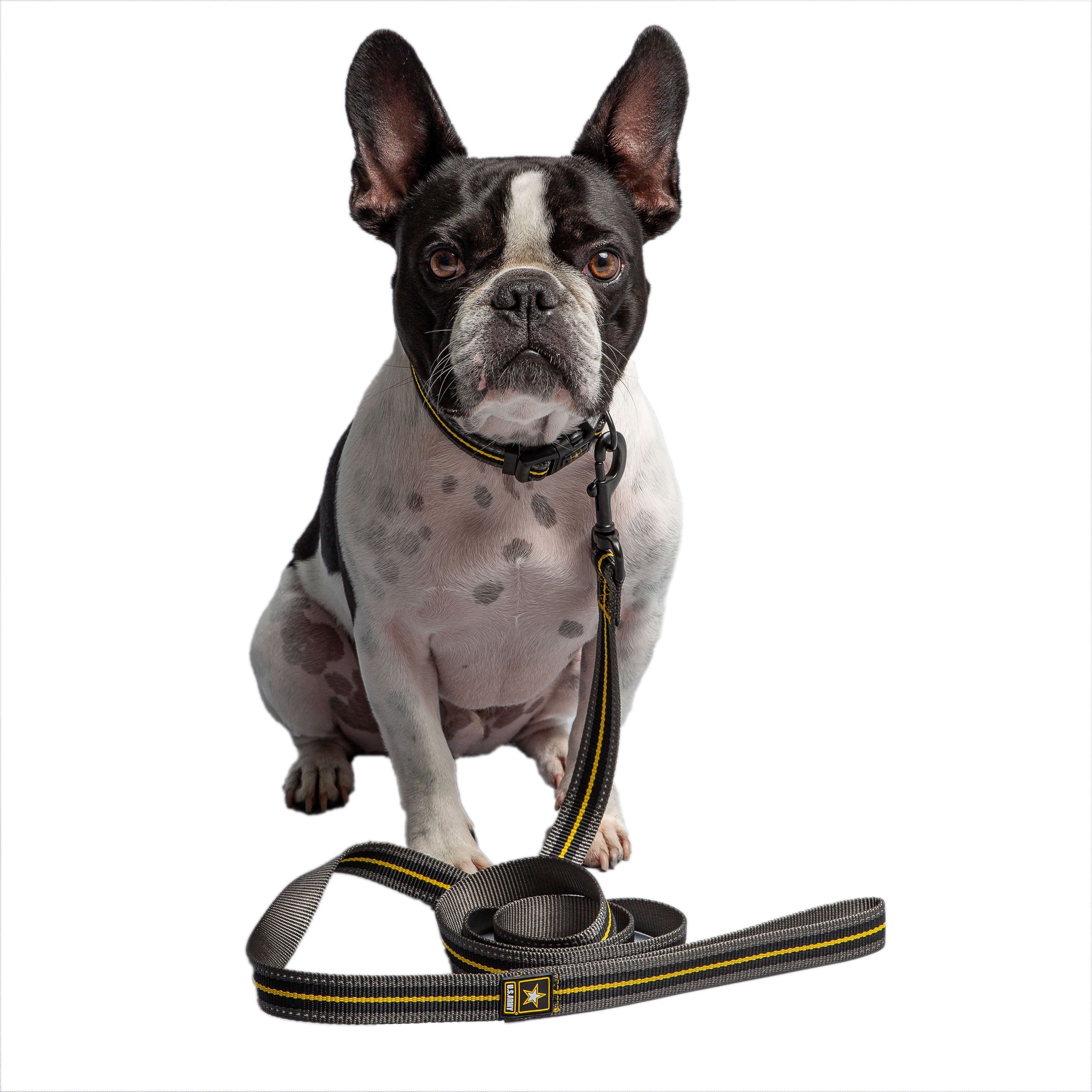 US Army Dog Leash - Dark Camo by GF Pet.us
