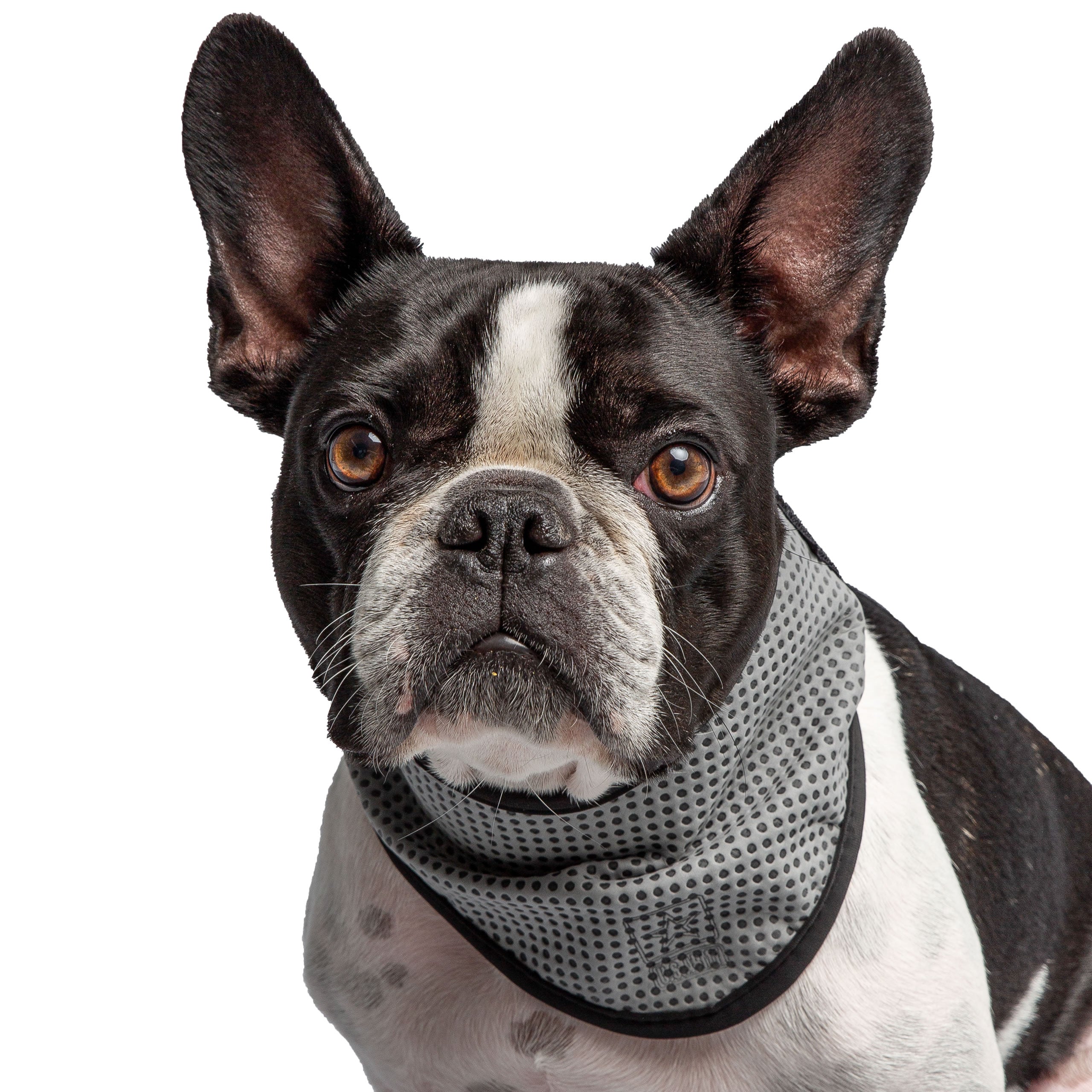 US Army Dog Cooling Bandana - Grey by GF Pet.us