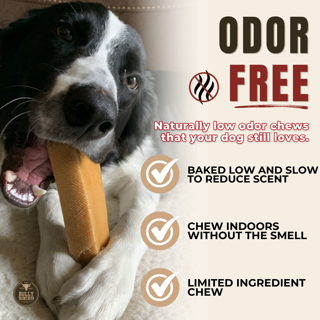 Himalayan Yak Chew (MEGA) by Bully Bunches