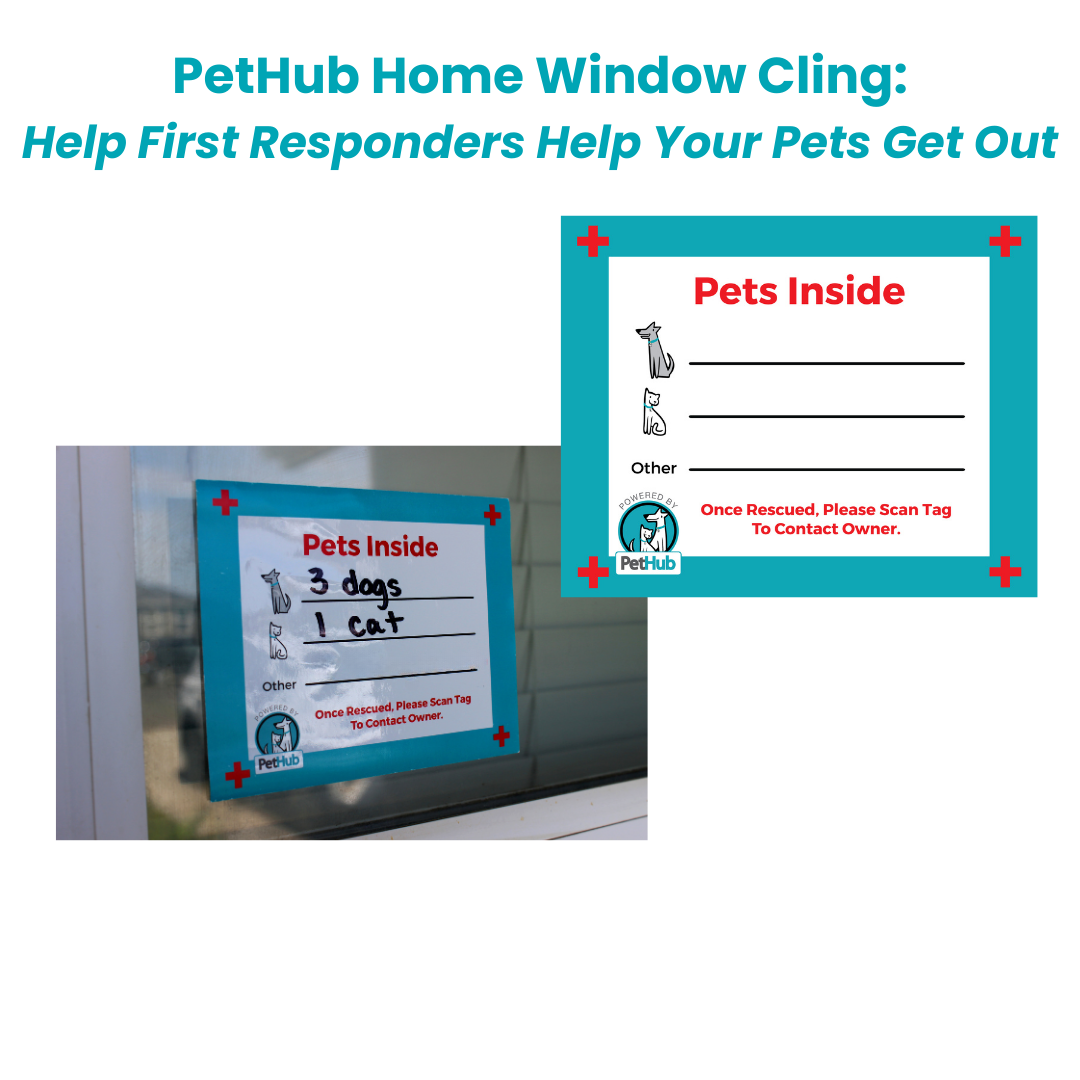 QR Pet Comprehensive Identification: Mini ReadyKit by PetHub