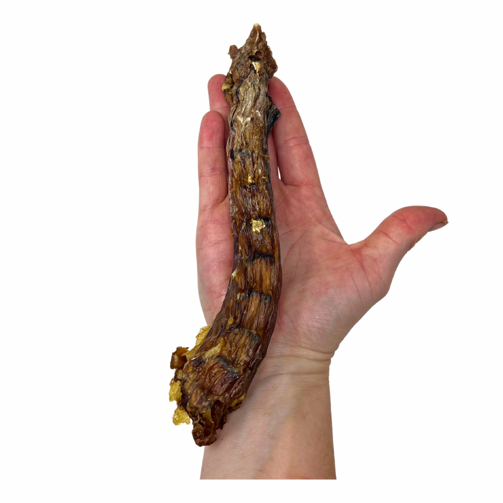 Dehydrated Duck Necks by Jack's Premium