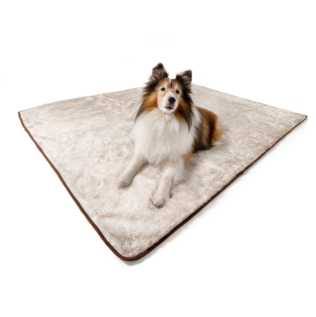 PupProtector™ Summer Short Fur Waterproof Throw Blanket - White with Brown Accents by Paw.com