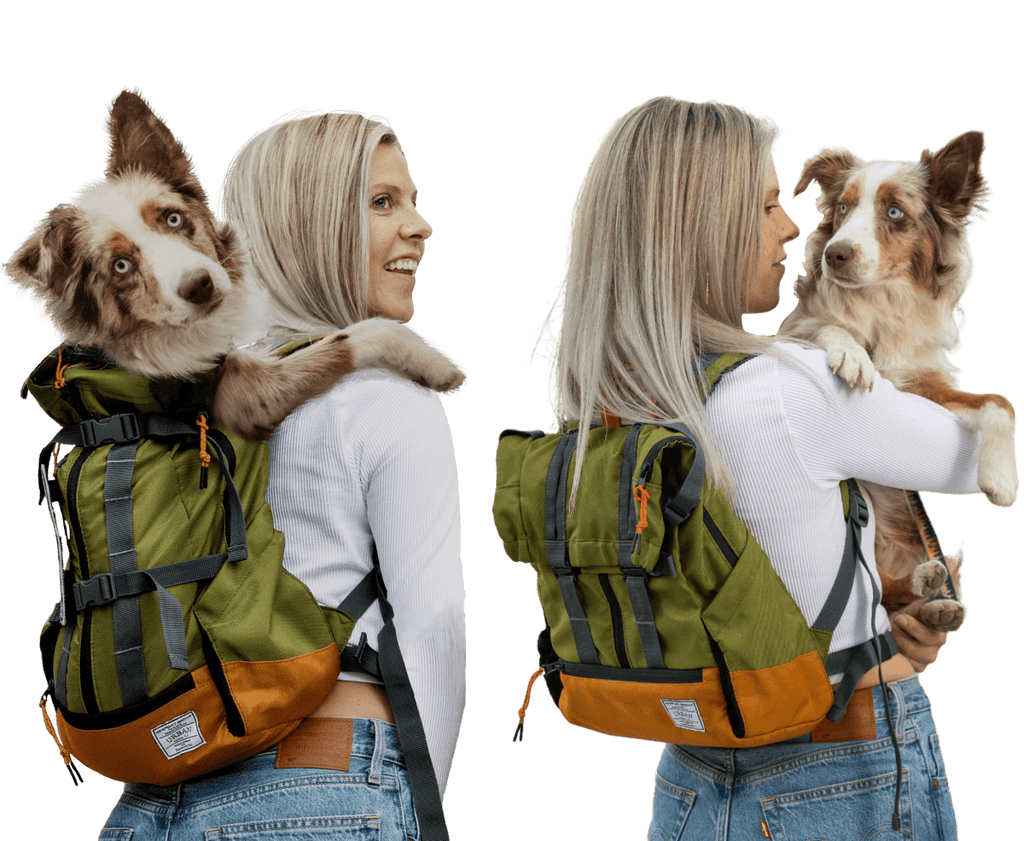 Urban 3 | Dual Use Dog Carrier & Traditional Backpack by K9 Sport Sack
