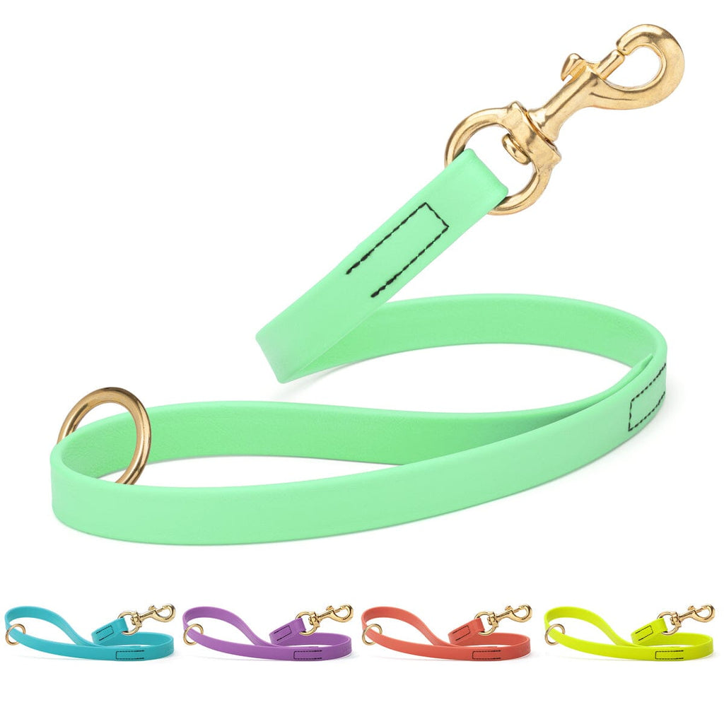 Viper Biothane Traffic Lead - Brass Hardware by Dogline