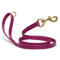 Viper Biothane Working Lead 4 ft by Dogline