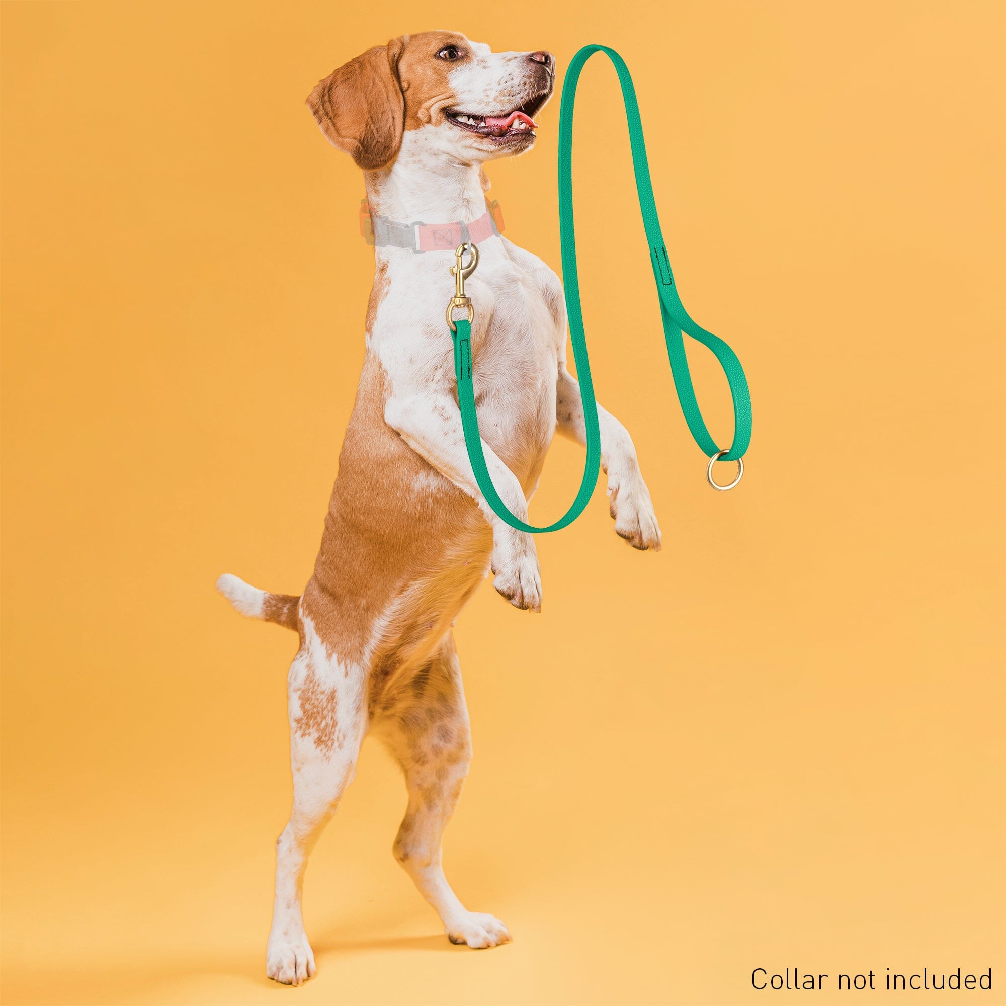 Viper Pebble Emboss BioThane Dog Leash with Solid Brass Hardware by Dogline