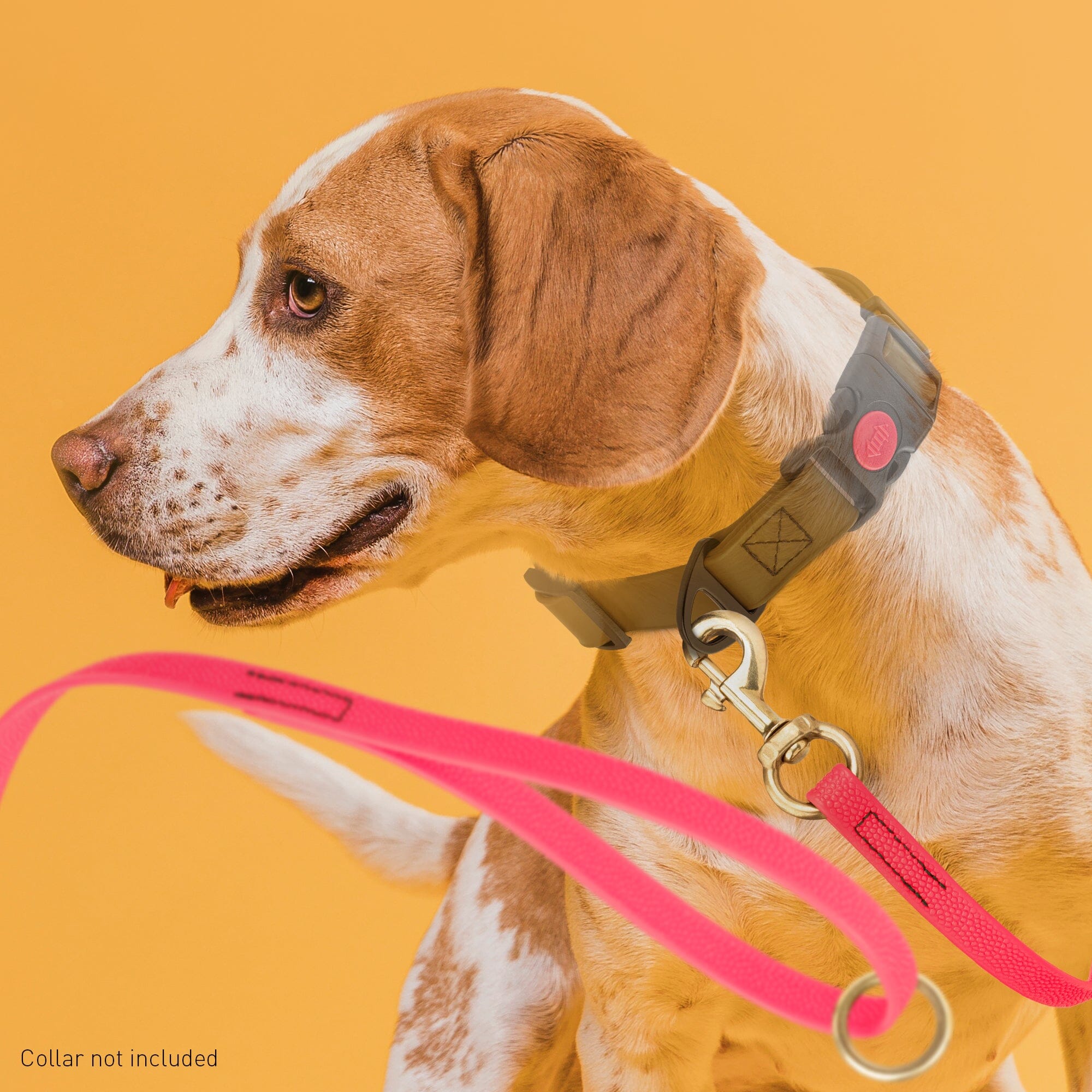 Viper Pebble Emboss BioThane Dog Leash with Solid Brass Hardware by Dogline