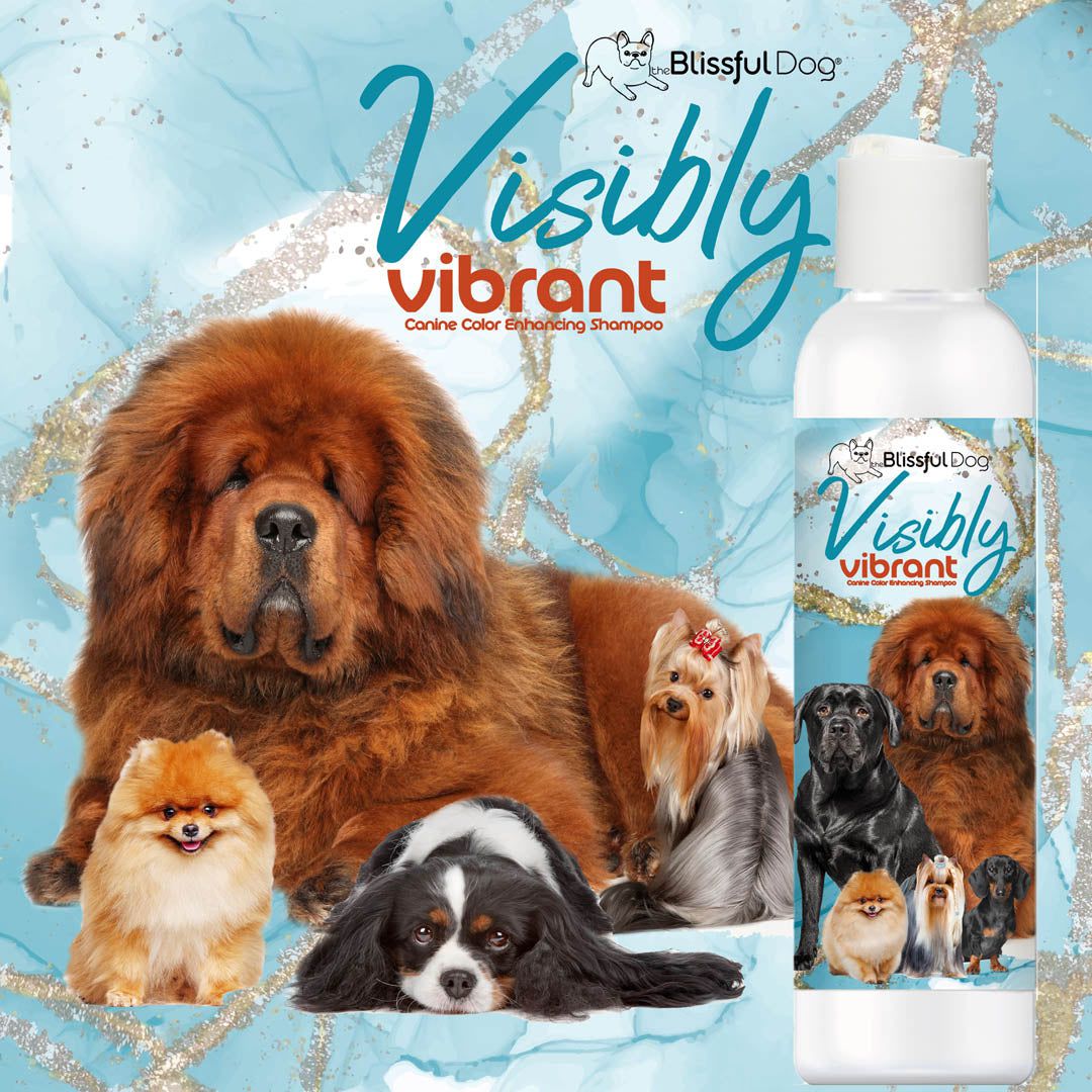 Visibly Vibrant Pet Shampoo by The Blissful Dog